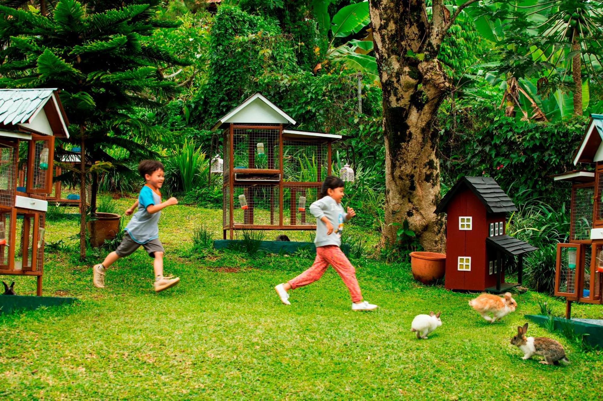 Novus Giri Resort & Spa Puncak Eksteriør billede
